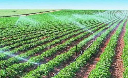 巨操妹子农田高 效节水灌溉